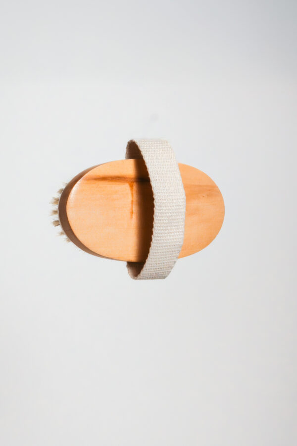 Brosse en Poils de Sanglier