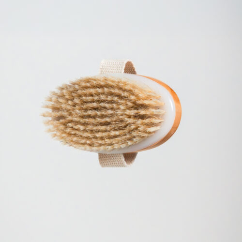 OCEAU MARINE • V2 - 37 Brosse en Poils de Sanglier